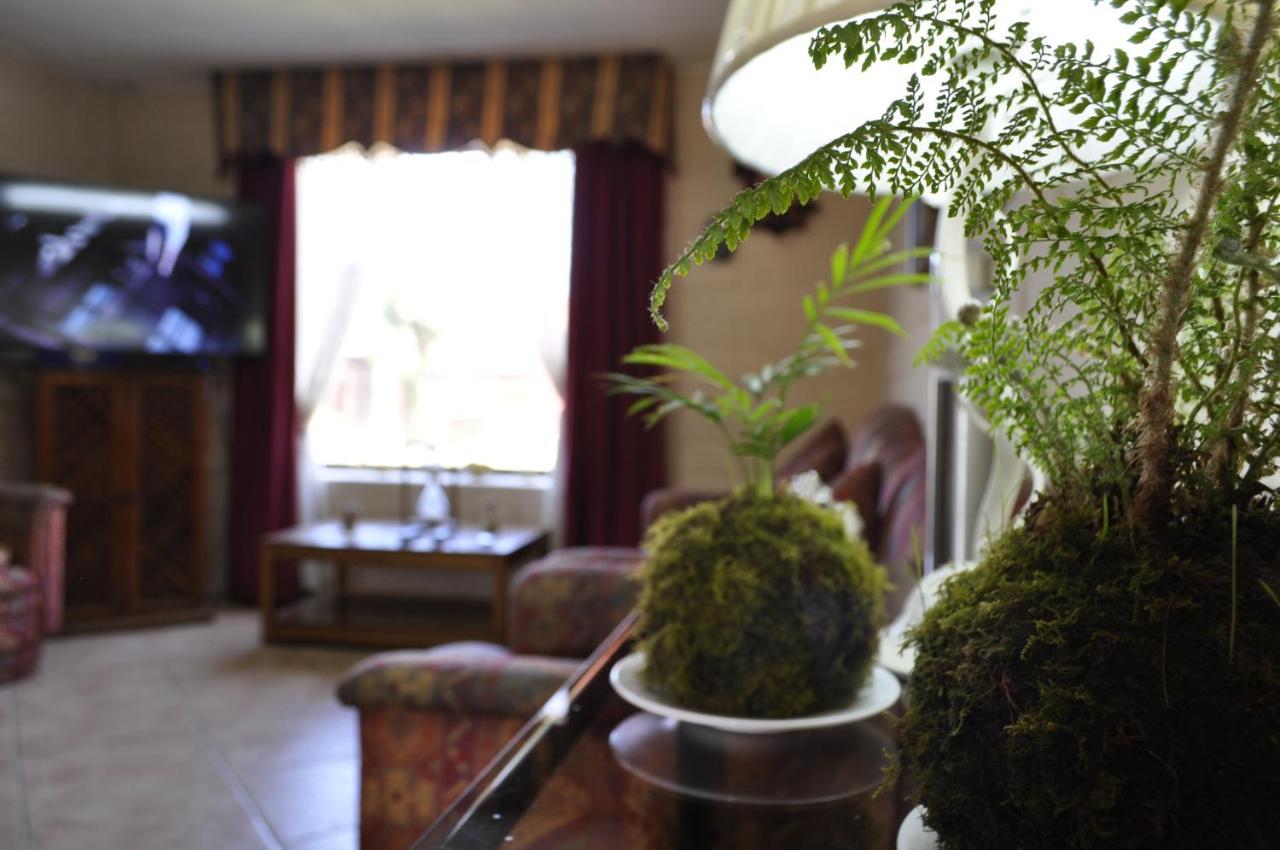 Santa Elena De Maipo Home Τεμούκο Εξωτερικό φωτογραφία